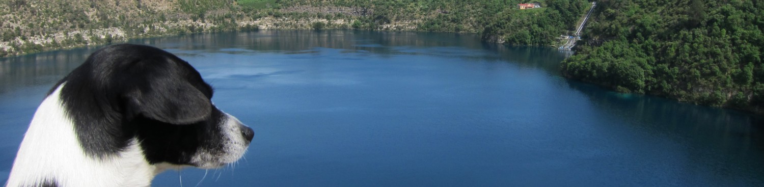 Blair Family WebSite